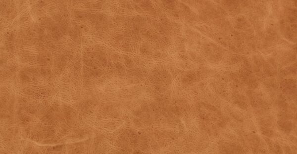 Set of Sorrento Genuine Leather Chairs - Image 3
