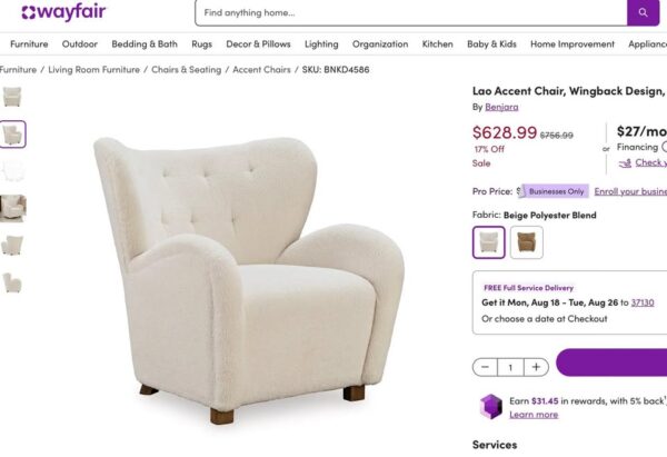 Set of 2 Lao Wingback Accent Chairs - Image 4