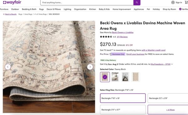 8' x 10' Becki Owens x Livabliss Davina Rug - Image 4