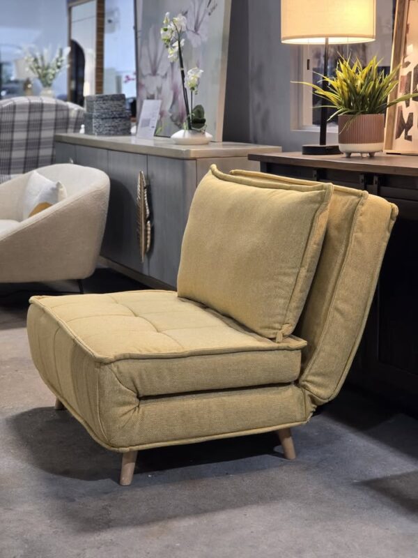 Mikell Convertible Sleeper Chair