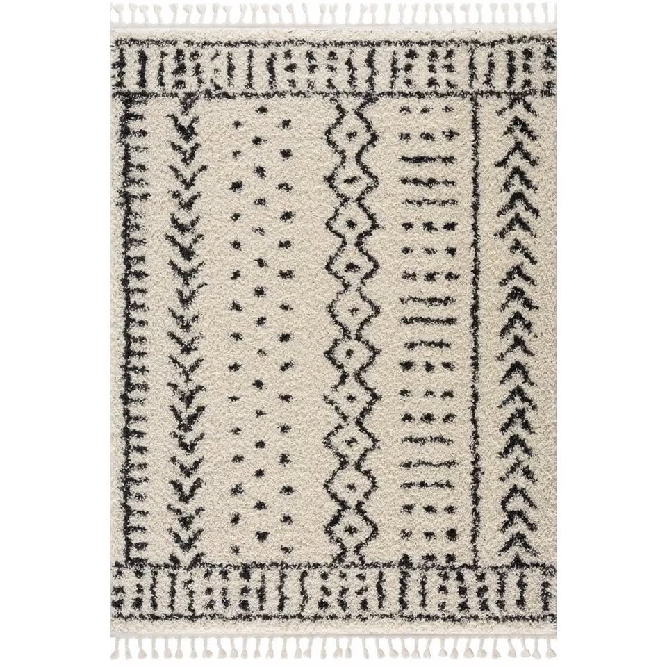 9' x 12' Adein Farmhouse Shaggy Rug - Image 5