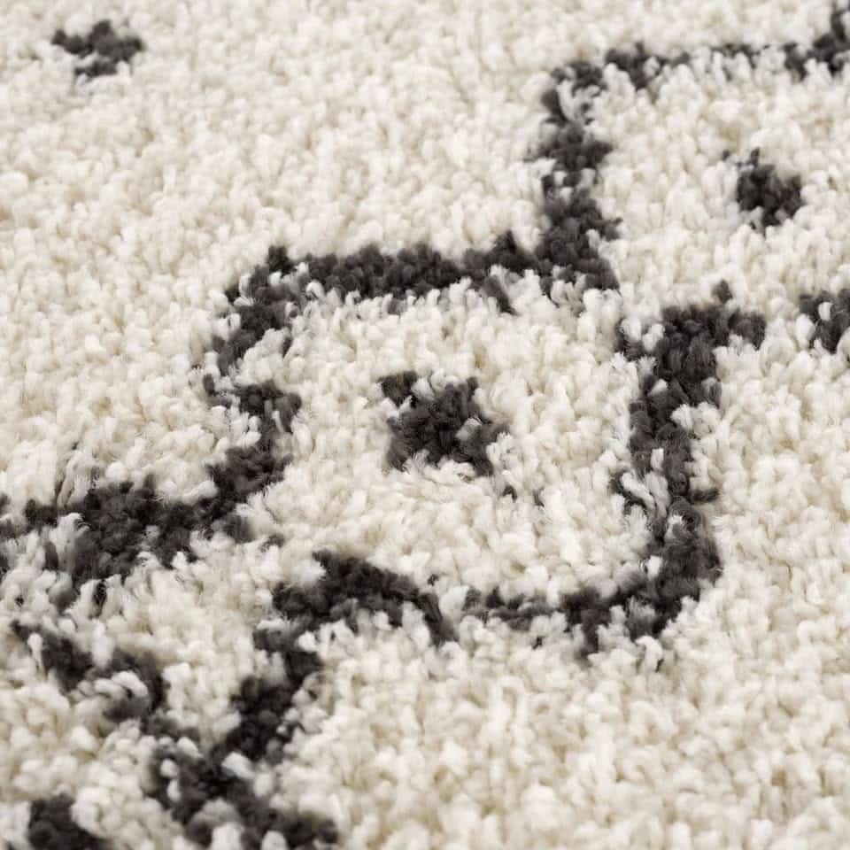 9' x 12' Adein Farmhouse Shaggy Rug - Image 6