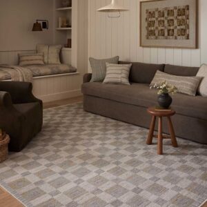 8' x 10' Loloi x Amber Lewis Checkered Area Rug
