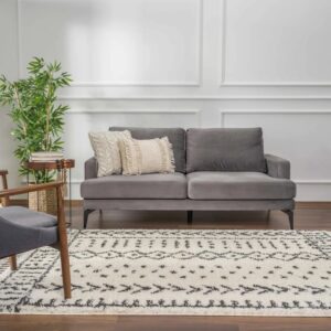 9' x 12' Adein Farmhouse Shaggy Rug